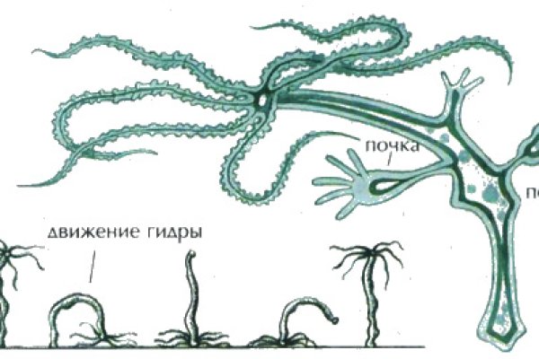 Mega клир ссылка