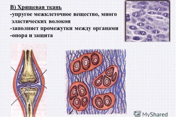 Актуальные ссылки мега