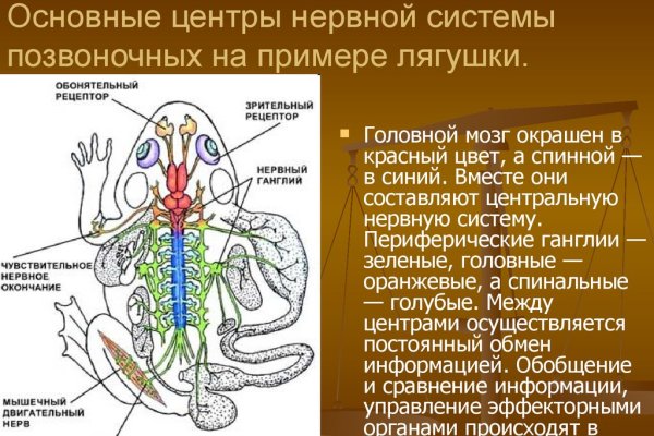 Актуальные ссылки мега